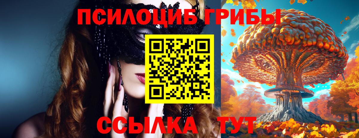 Псилоцибиновые грибы GOLDEN TEACHER  Вход с VPN  Псилоцибиновые грибы Psilocybe  Тосно 